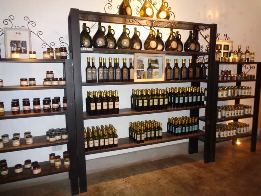 image n.3 of Mendoza: Half-Day Wine Tour with Tastings activity in Mendoza, uploaded by supplier