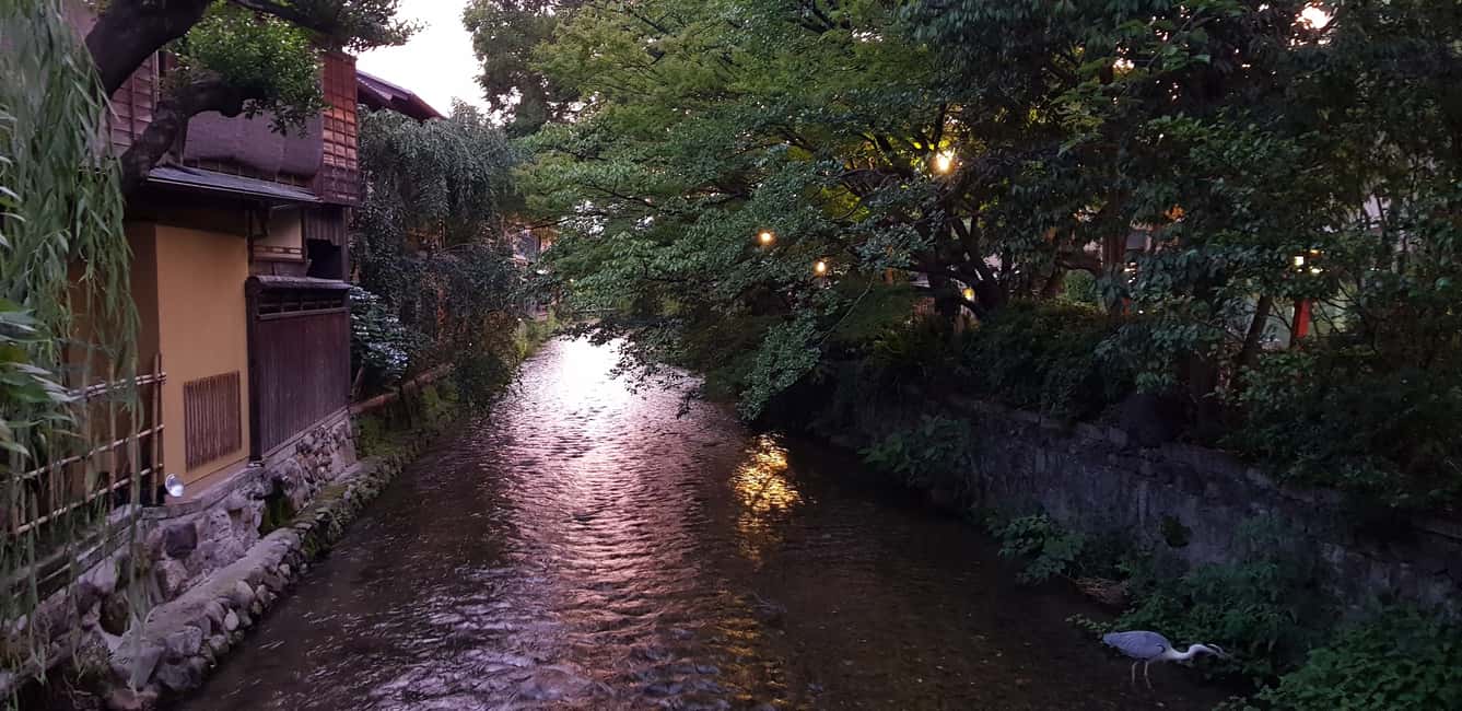 image n.19 of Kyoto Night All-Inclusive Eats and Streets, Gion and Beyond activity in Kyoto, uploaded by supplier