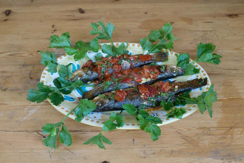 image n.1 of Viareggio: Cooking Class at a Local's Home activity in Viareggio, uploaded by supplier