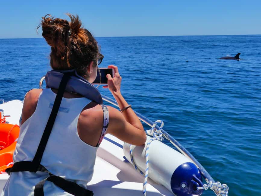 Bild Nr. 15 von Faro: Delfin- und Wildtierbeobachtung im Atlantischen Ozean Aktivität in Algarve, hochgeladen vom Anbieter
