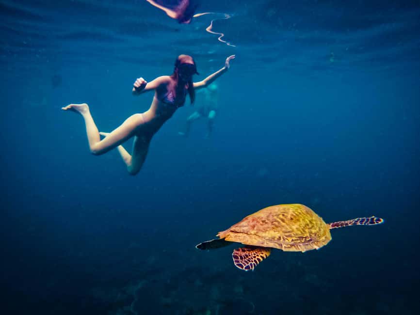 billede nr.10 af aktiviteten Ko Tao: Snorkeltur for senvågnere med frokost og fotos i Thailandbugten, uploadet af udbyder