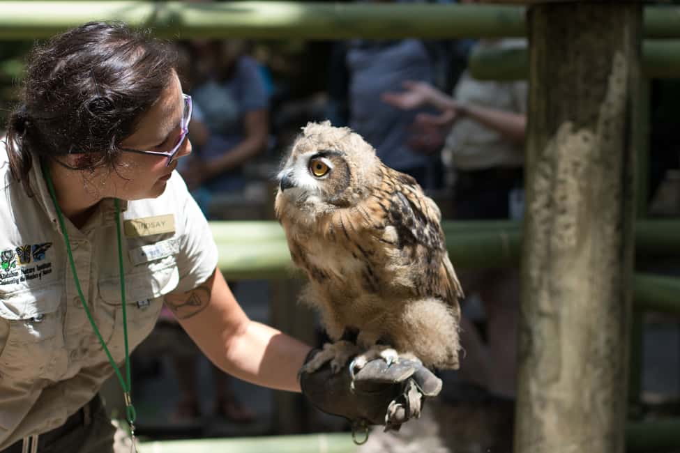 Immagine nº 9 di New Orleans: Biglietto per lo zoo di Audubon e opzione combinata attività a New Orleans, caricata dal fornitore
