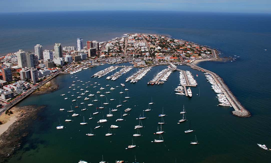 image n.10 of From Montevideo: Punta del Este Full-Day Tour with Guide activity in Punta del Este, uploaded by supplier
