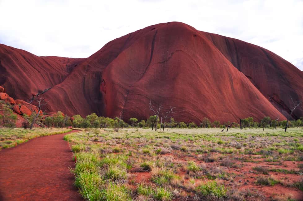 Image N°3 de Uluru : visite des sites sacrés et coucher de soleil avec vin et plateau de fromage activité à Territoire du Nord, Australie, publiée par le prestataire