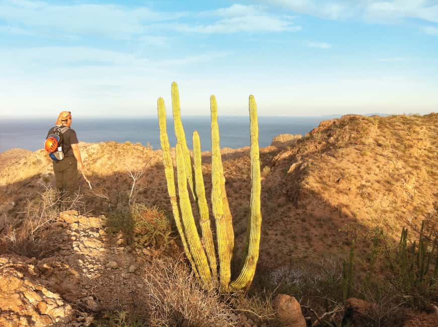 image n.3 of From Loreto: Canipole Cave Painting Guided Hike activity in Loreto, Mexico, uploaded by supplier
