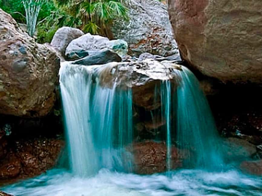 image n.3 of From Loreto: Tabor Canyon Guided Hike activity in Baja California Sur, uploaded by supplier