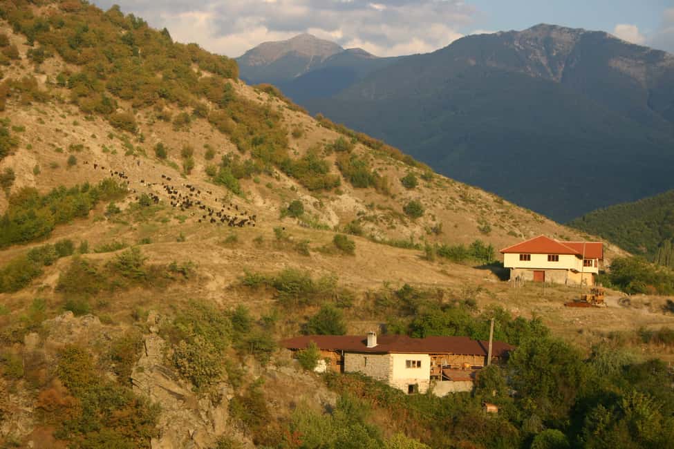 image n.6 of Bansko: Rare Bulgarian Pets Experience activity in Bansko, uploaded by supplier