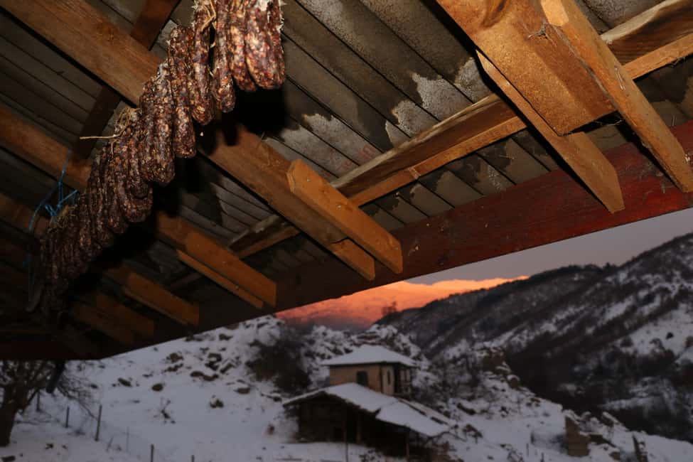 image n.10 of Bansko: Rare Bulgarian Pets Experience activity in Bansko, uploaded by supplier
