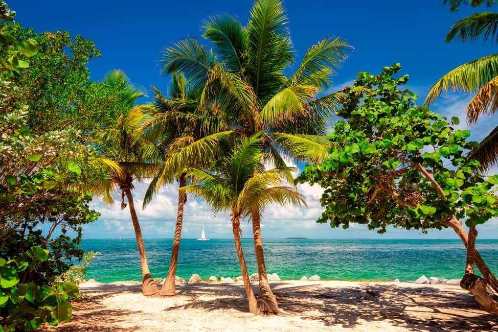 image n.5 of Fort Lauderdale: Key West Day Trip with Optional Activities activity in Fort Lauderdale, uploaded by supplier