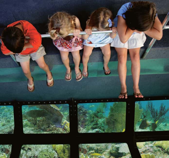 image n.8 of Fort Lauderdale: Key West Day Trip with Optional Activities activity in Fort Lauderdale, uploaded by supplier