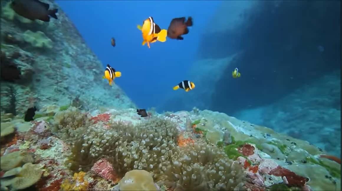 imagem n.7 de Montego Bay: Excursão particular de 1 dia para Negril atividade em Negril, carregada pelo fornecedor
