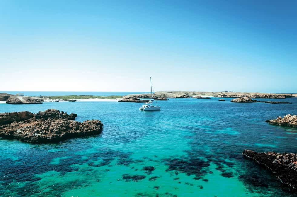 Immagine nº 4 di Da Muscat: Tour di snorkeling delle isole Dimaniyat attività a Mascate, caricata dal fornitore