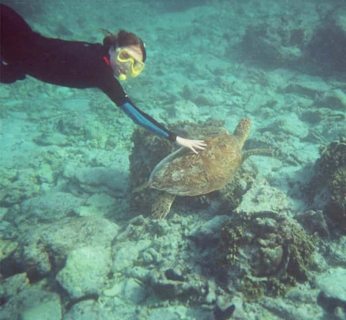 Immagine nº 8 di Da Muscat: Tour di snorkeling delle isole Dimaniyat attività a Mascate, caricata dal fornitore