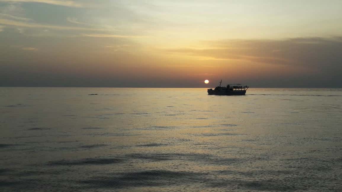 image n.2 of Poreč: Sunset Dolphin Safari Cruise with Drinks activity in Porec, uploaded by supplier