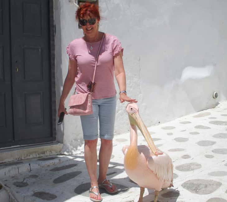 image n.17 of Mykonos: Guided Highlights Tour activity in Mykonos Town, uploaded by supplier