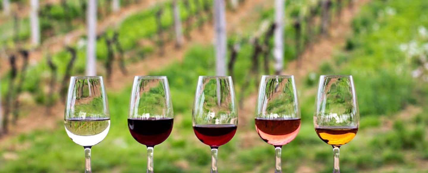 image n.1 of Guadalupe Valley: Complete Wine Route activity in Ensenada, uploaded by supplier