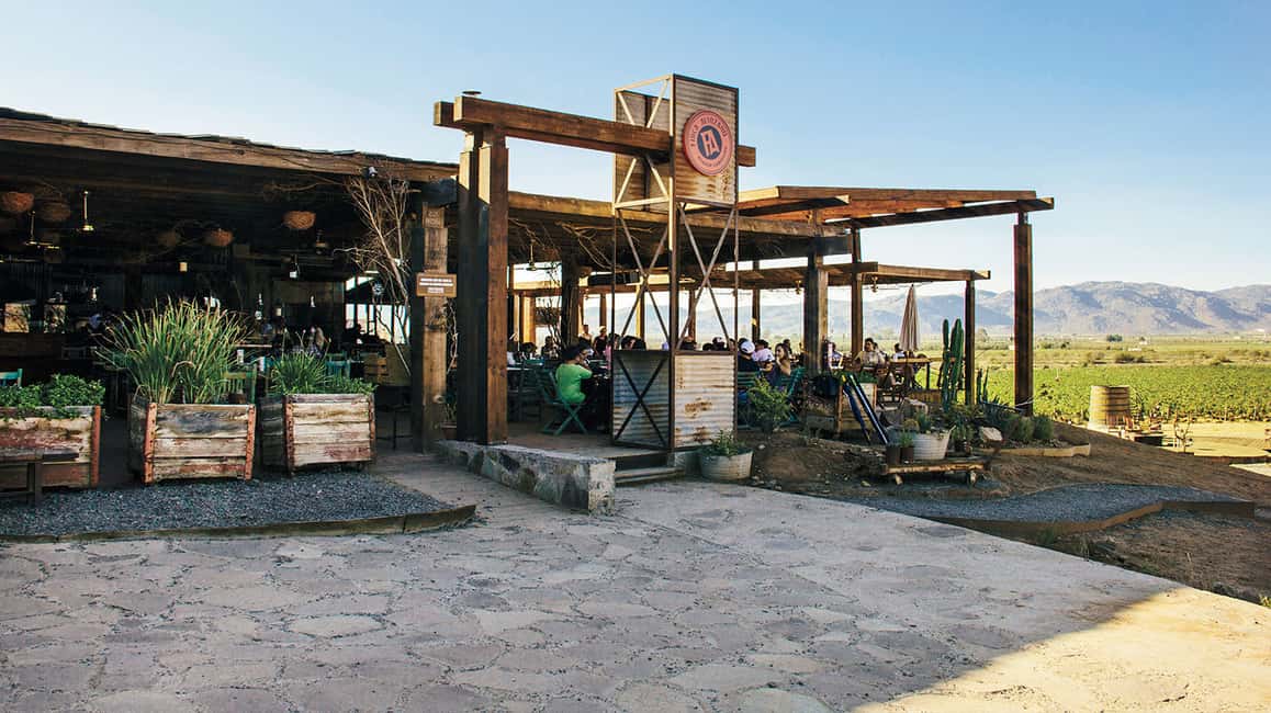 image n.2 of Guadalupe Valley: Complete Wine Route activity in Ensenada, uploaded by supplier