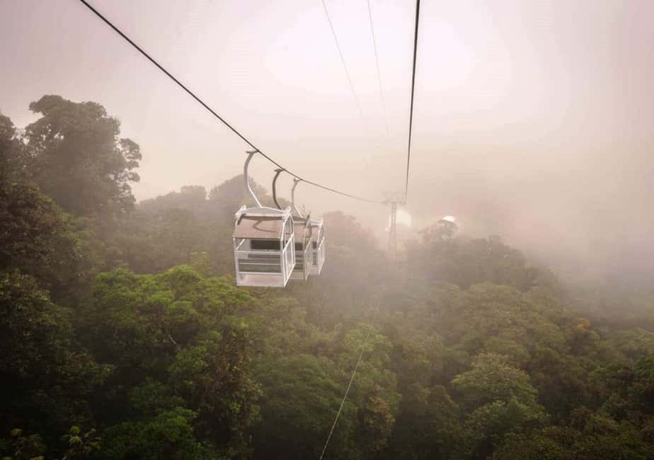 image n.4 of San Jose: Monteverde Sky Tram & Hanging Bridges Day Tour activity in Monteverde, uploaded by supplier