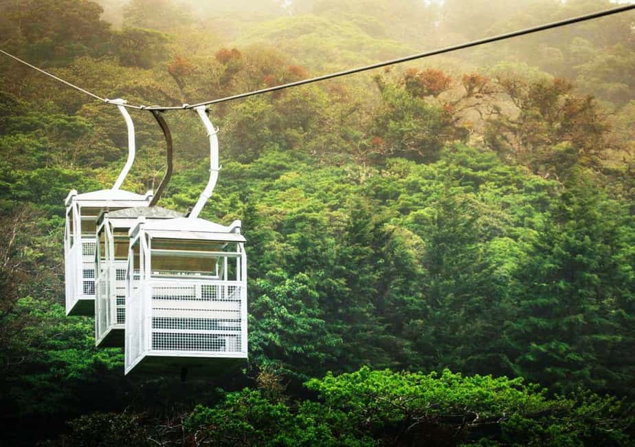 image n.8 of San Jose: Monteverde Sky Tram & Hanging Bridges Day Tour activity in Monteverde, uploaded by supplier