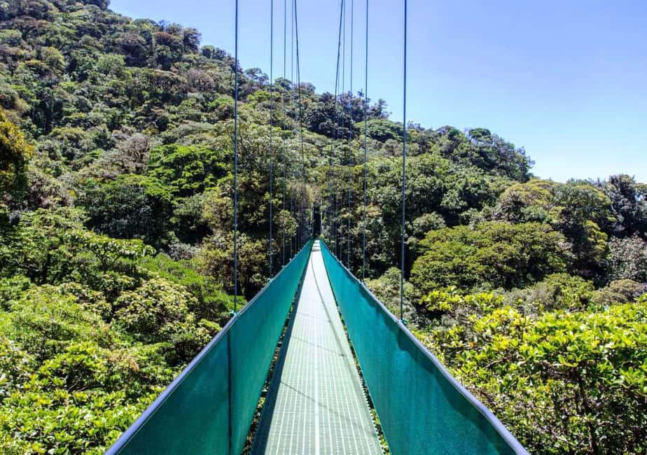 image n.2 of San Jose: Monteverde Sky Tram & Hanging Bridges Day Tour activity in Monteverde, uploaded by supplier