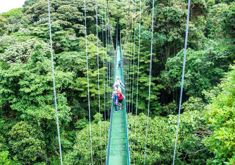 image n.5 of San Jose: Monteverde Sky Tram & Hanging Bridges Day Tour activity in Monteverde, uploaded by supplier