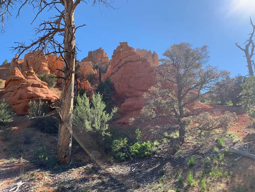 image n.3 of Bryce Canyon City: Horseback Riding Tour in Red Canyon activity in Utah, uploaded by supplier