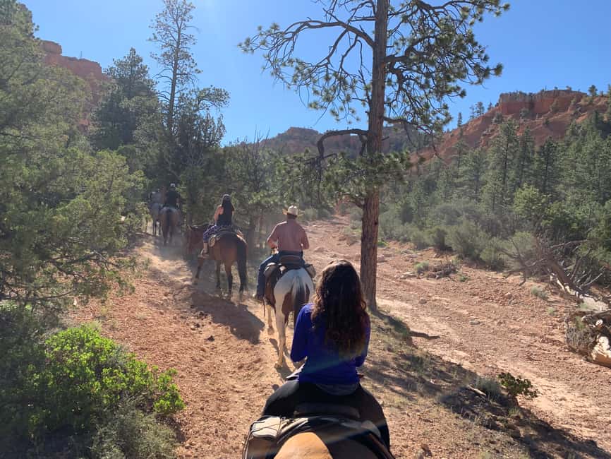 image n.4 of Bryce Canyon City: Horseback Riding Tour in Red Canyon activity in Utah, uploaded by supplier