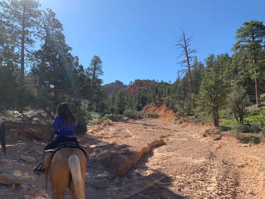 image n.6 of Bryce Canyon City: Horseback Riding Tour in Red Canyon activity in Utah, uploaded by supplier