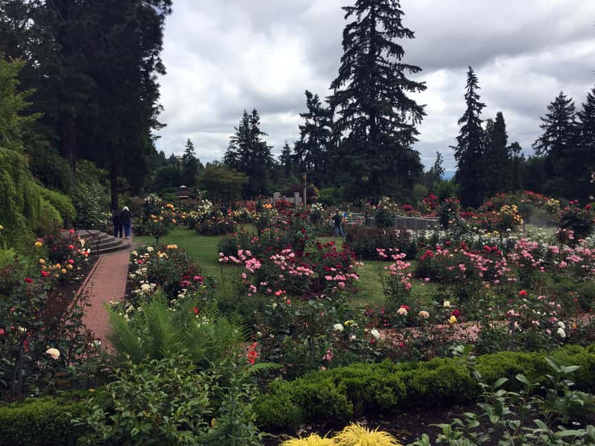 image n.7 of Discover Portland: Half-Day Small Group City Tour activity in Portland, Oregon, uploaded by supplier