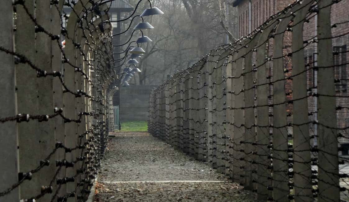 bild nr.5 av Från Wrocław: Guidad tur Auschwitz-Birkenau på en dagsutflykt aktivitet i Oswiecim, uppladdad av arrangören