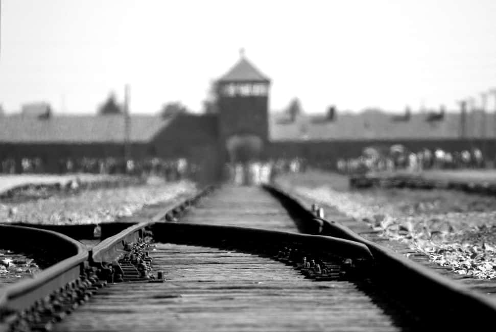 bild nr.6 av Från Wrocław: Guidad tur Auschwitz-Birkenau på en dagsutflykt aktivitet i Oswiecim, uppladdad av arrangören