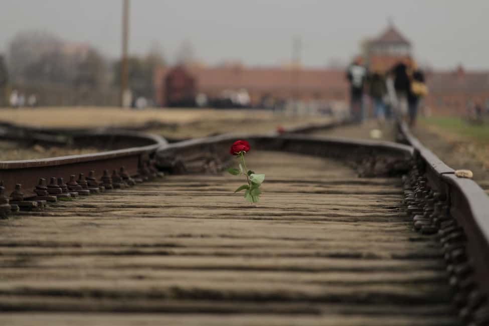 bild nr.11 av Från Wrocław: Guidad tur Auschwitz-Birkenau på en dagsutflykt aktivitet i Oswiecim, uppladdad av arrangören