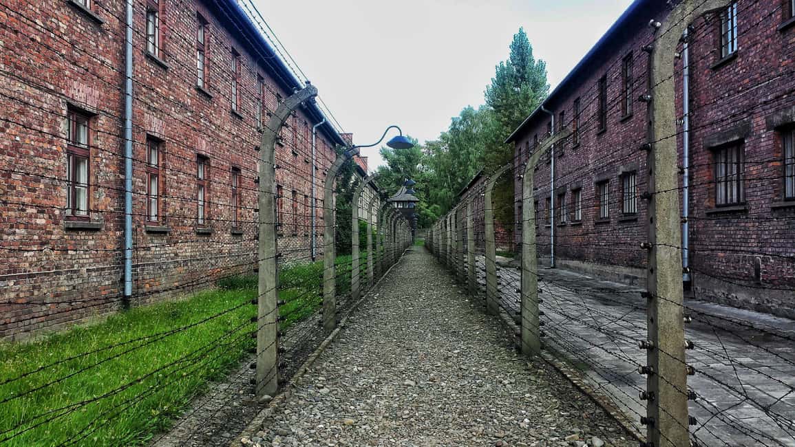 bild nr.12 av Från Wrocław: Guidad tur Auschwitz-Birkenau på en dagsutflykt aktivitet i Oswiecim, uppladdad av arrangören