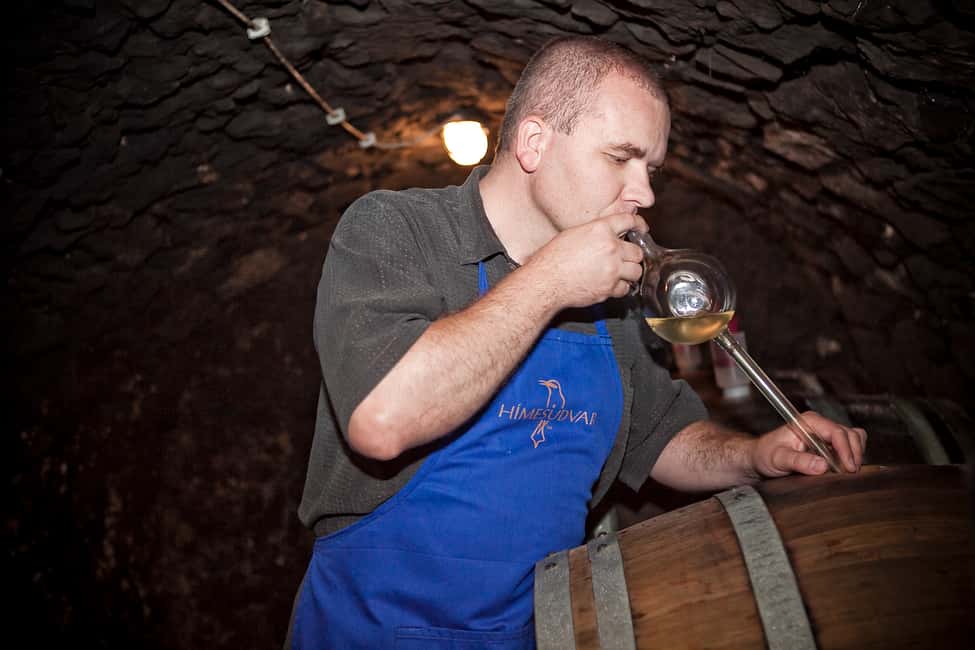 image n.7 of Tokaj: Vineyard Tour & Tasting activity in Tokaj, uploaded by supplier