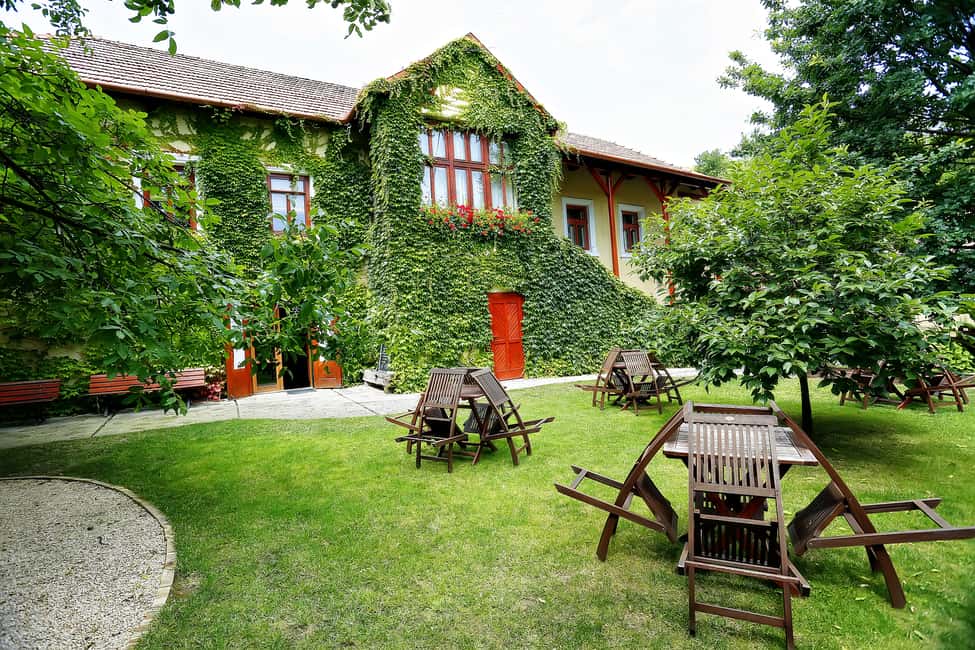 image n.2 of Tokaj: Vineyard Tour & Tasting activity in Tokaj, uploaded by supplier