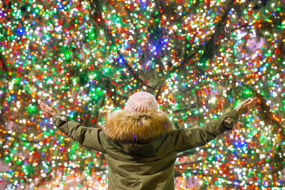 image n.7 of From Manhattan: 4-Hour Christmas Lights Luxury Bus Tour activity in New York City, uploaded by supplier