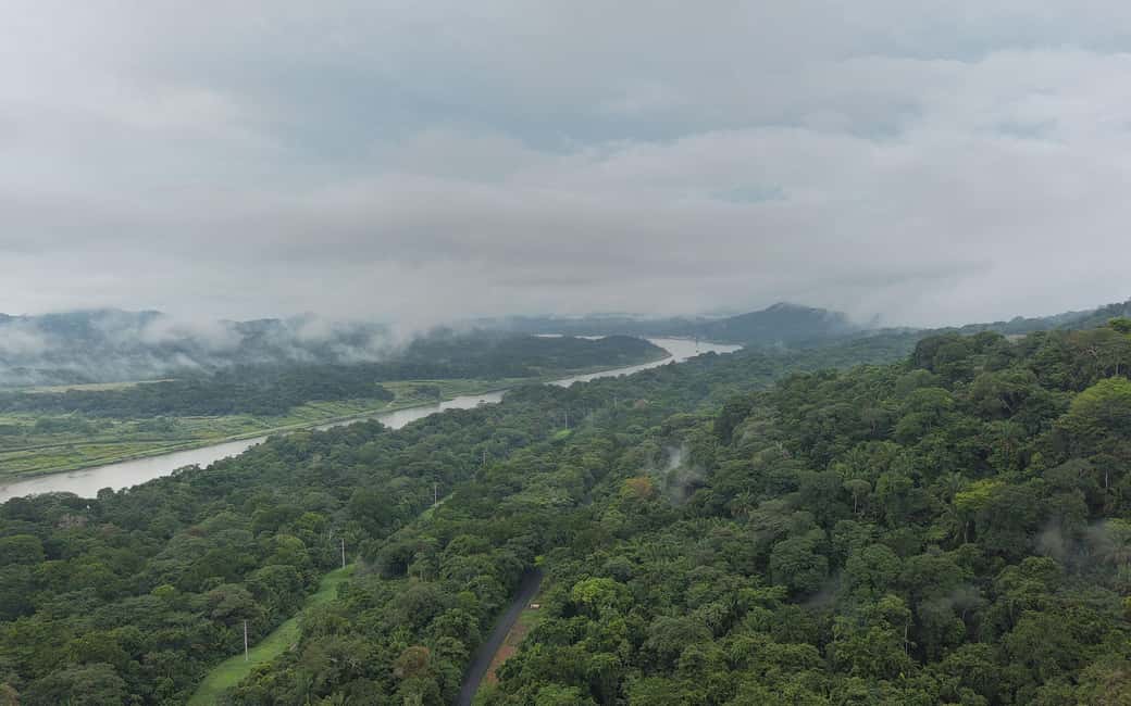 image n.14 of Panama Canal: Monkey Island and Jungle Hike Eco Tour activity in Colón Province, uploaded by supplier