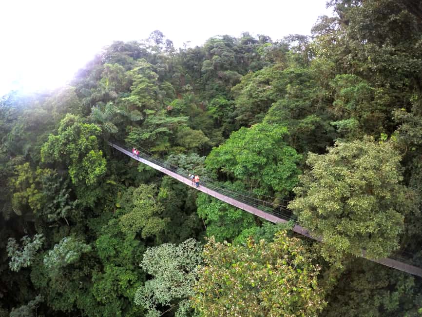 image n.1 of Arenal Hanging Bridges Half-Day Tour from La Fortuna activity in La Fortuna, uploaded by supplier