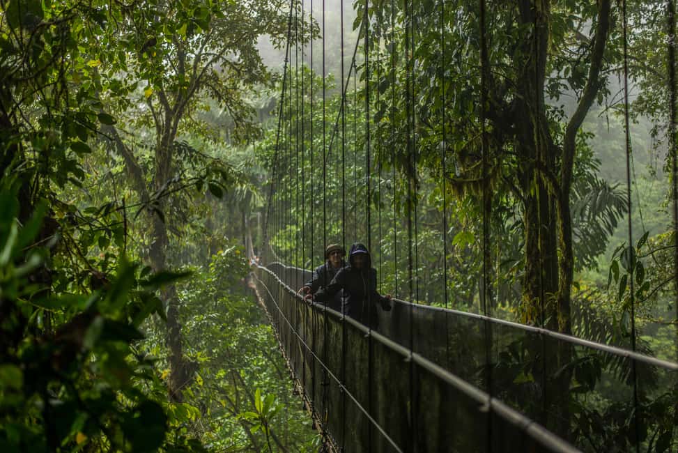 image n.17 of Arenal Hanging Bridges Half-Day Tour from La Fortuna activity in La Fortuna, uploaded by supplier