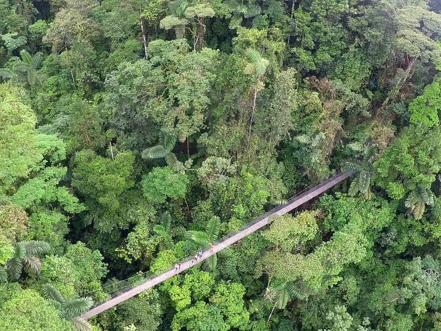image n.18 of Arenal Hanging Bridges Half-Day Tour from La Fortuna activity in La Fortuna, uploaded by supplier