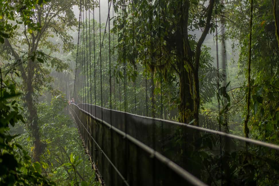 image n.5 of La Fortuna: Arenal Volcano, Hanging Bridges & Waterfall Tour activity in La Fortuna, uploaded by supplier