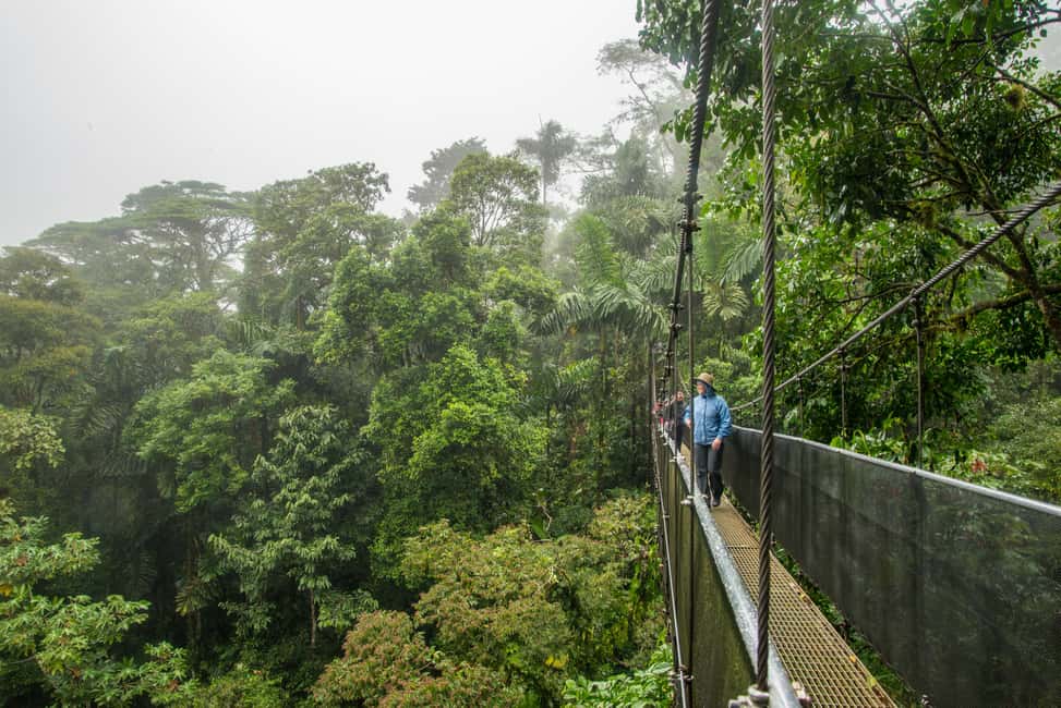 image n.6 of La Fortuna: Arenal Volcano, Hanging Bridges & Waterfall Tour activity in La Fortuna, uploaded by supplier