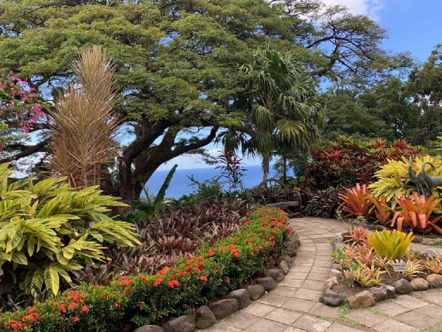 image n.2 of Basseterre: Plantation and Beach Extravaganza activity in Old Road Town, uploaded by supplier