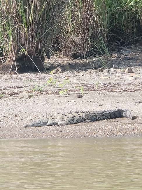 image n.4 of Monkey Island and Indian Village Tour activity in Panama Province, uploaded by supplier