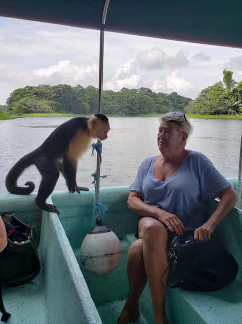 image n.6 of Monkey Island and Indian Village Tour activity in Panama Province, uploaded by supplier