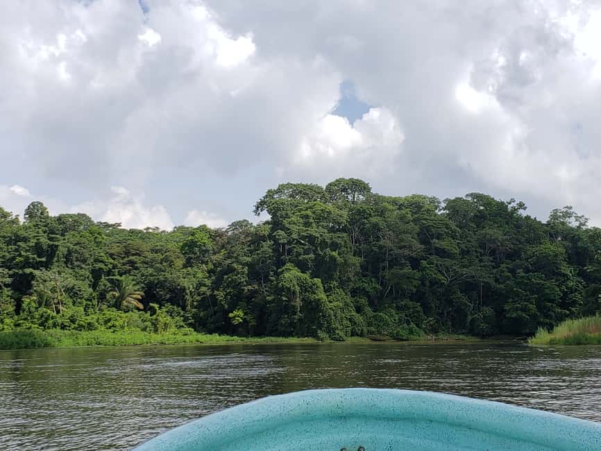 image n.7 of Monkey Island and Indian Village Tour activity in Panama Province, uploaded by supplier