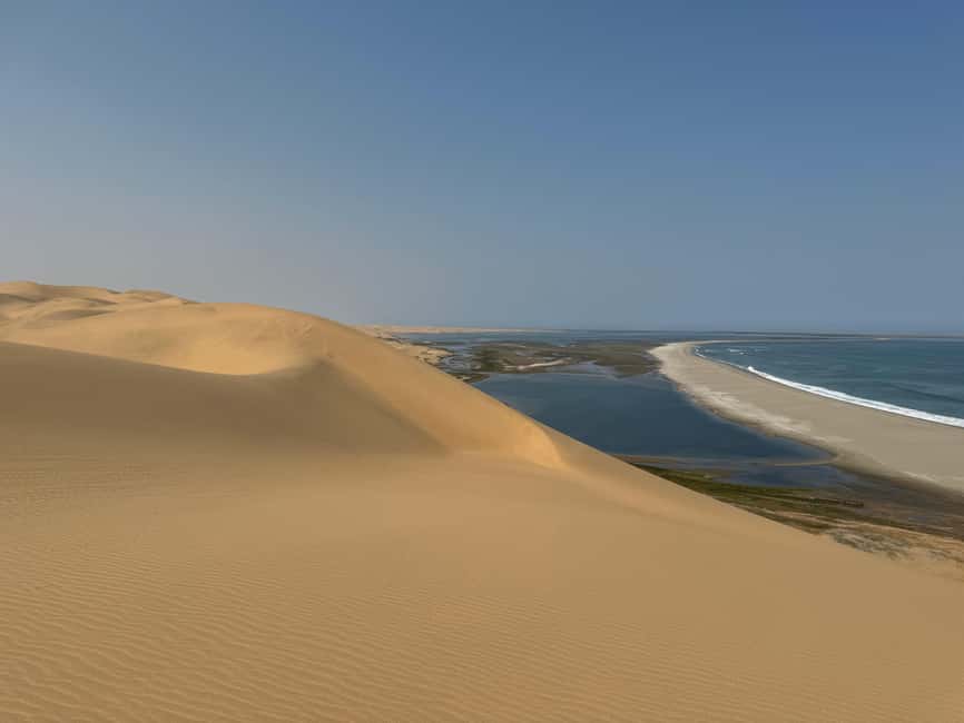 image n.17 of Walvisbay: Sandwich Harbour 4x4 Tour-Unparalleled Experience activity in Erongo, uploaded by supplier