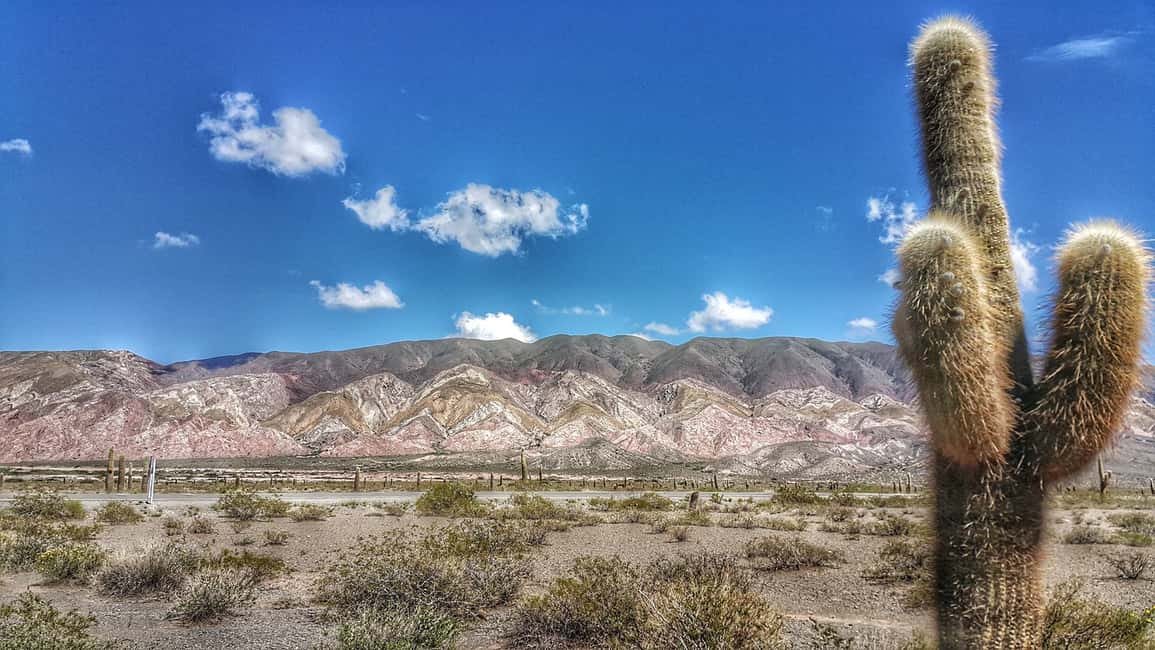 imagem n.2 de De Salta: Viagem de 1 dia a Cachi e aos Vales Calchaquíes atividade em Província de Salta, carregada pelo fornecedor