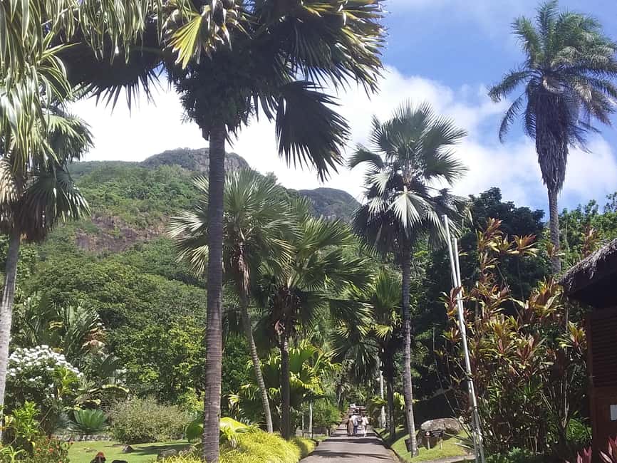 image n.6 of Mahé: Customizable Private Tour of Island with Driver activity in Victoria, Seychelles, uploaded by supplier