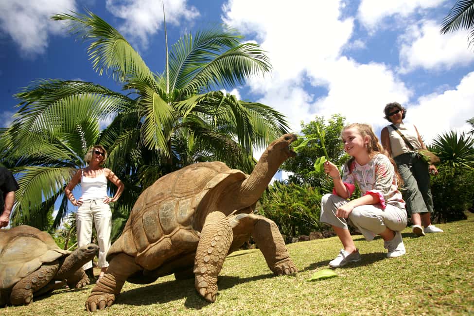 bild nr.3 av Djupa södra Mauritius: Te, krokodiler, lunch, kulturarv och Rhum aktivitet i Curepipe, uppladdad av arrangören